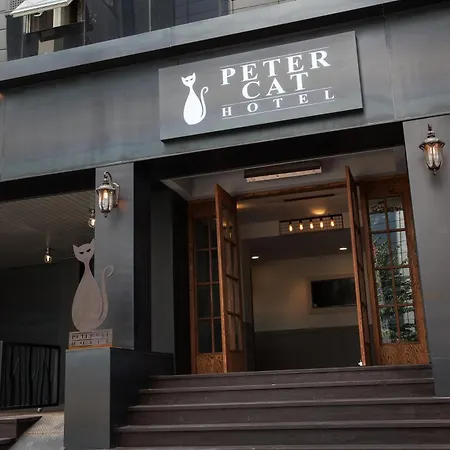 Petercat Hotel Shinchon-2