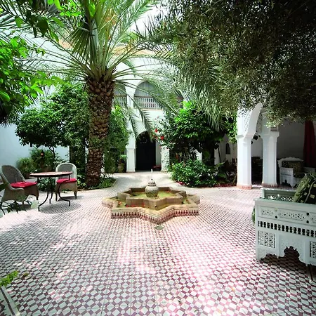 Riad Ifoulki-2