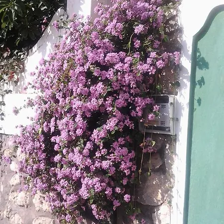B&B Angelide-3