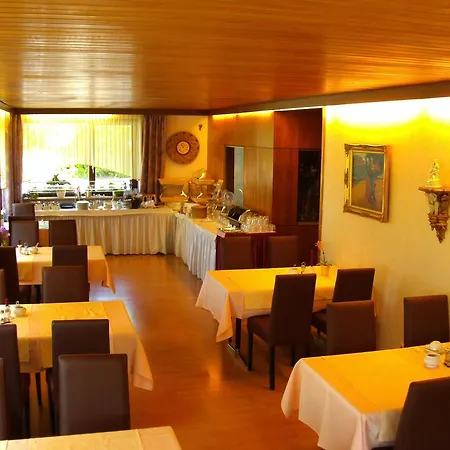 Hotel Rheingold Garni-2