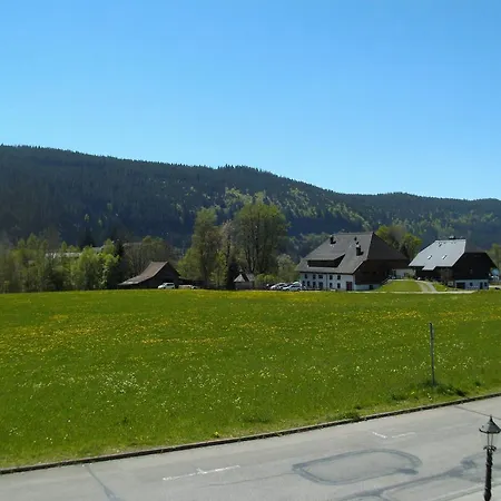 Hotel Rheingold Garni-3