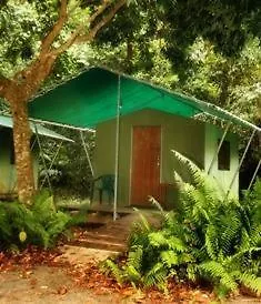 Jungle Lodge-2