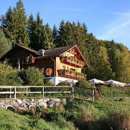 Cafe Maria - Pension - B&B-2