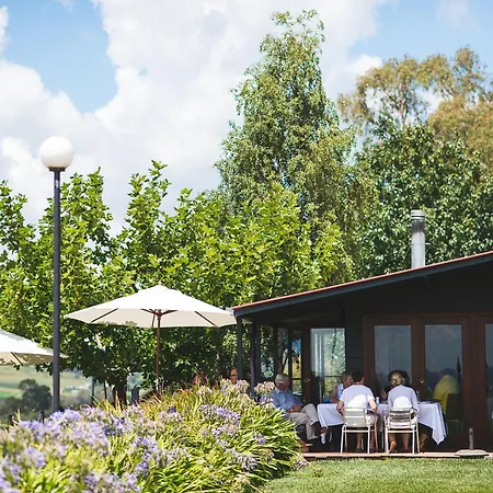 Borrodell Vineyard-2