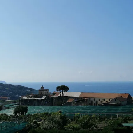 Hotel La Primavera-3