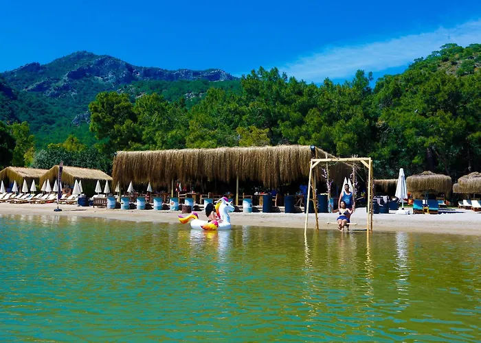 Green Pine Bungalows & Beach Luxury Concept