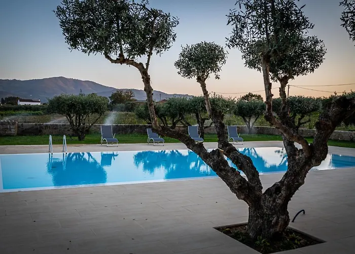 Hotel com vista: Quinta Das Oliveiras Turismo Rural