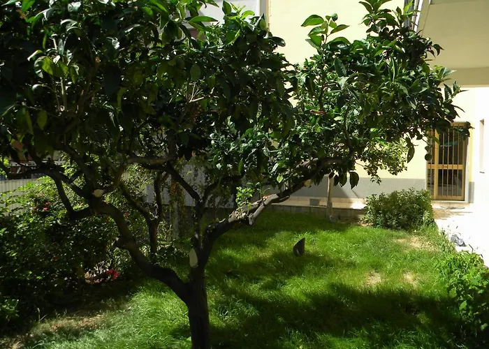 Hotel: B&B Il Giardino Diamante