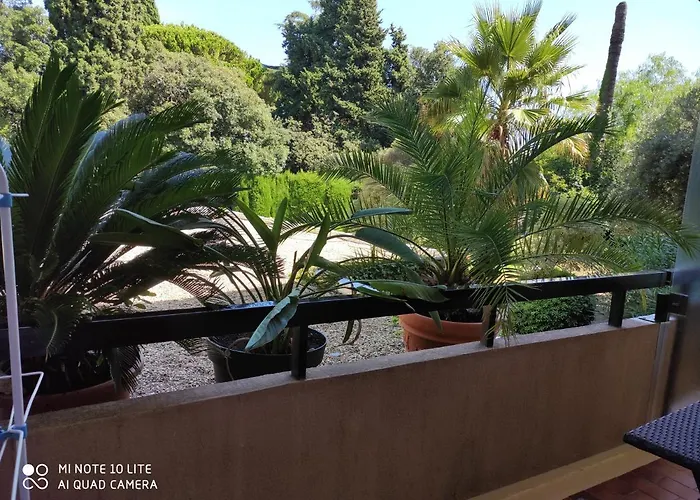 Location de vacances: Residence Les Palmiers