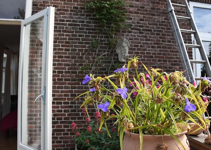 B&B: Bed & Breakfast Leonie