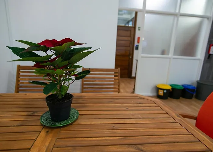 Hotel perto da faculdade: Change The World Hostels - Porto - Santa Catarina