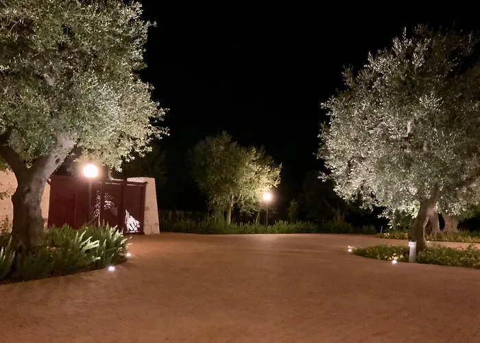 Tra gli ulivi