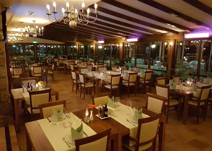 Hotel near College: Tino Hotel & Spa