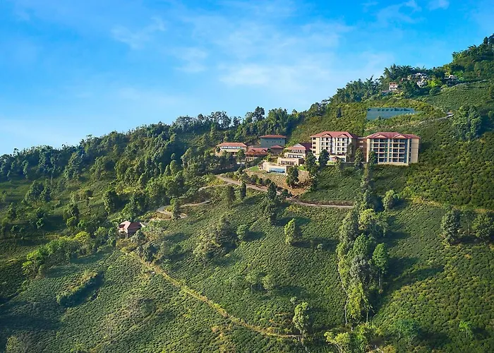 Spa Hotels Resorts Taj Chia Kutir Resort & Spa Darjeeling