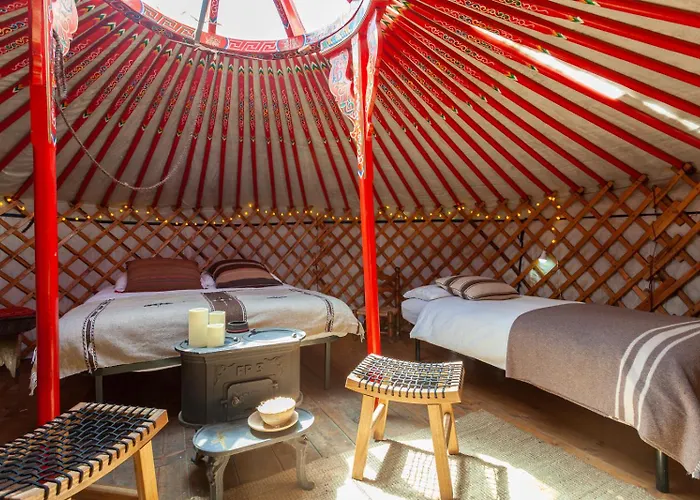 Hotel vicino al College: Hobo Camping