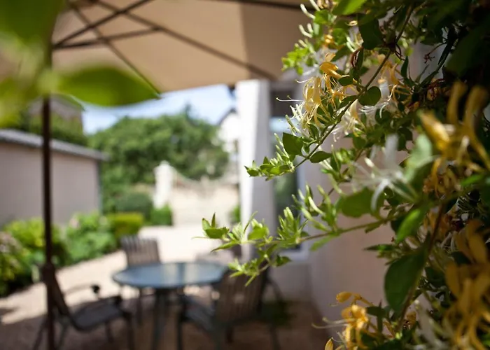 Hôtel avec piscine: Domaine VIOLOT-GUILLEMARD