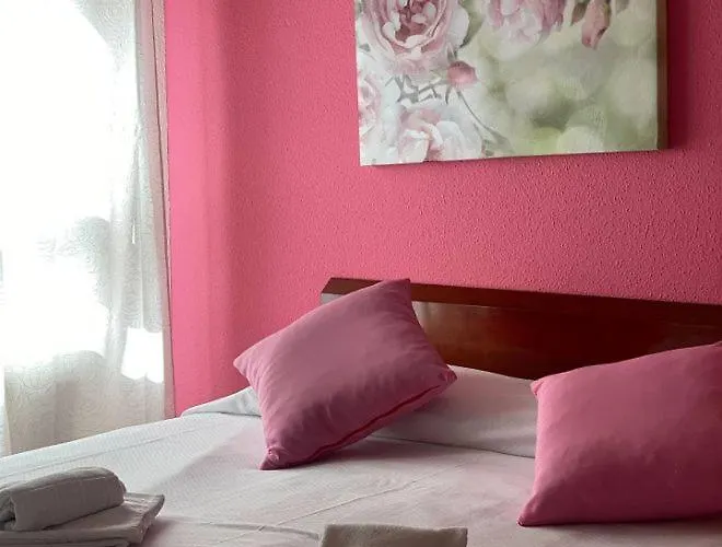 Perros hoteles San Andrés