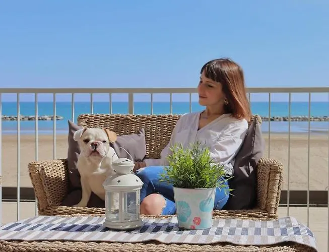 Hôtel accueillant les animaux: Nautic Beach Hotel