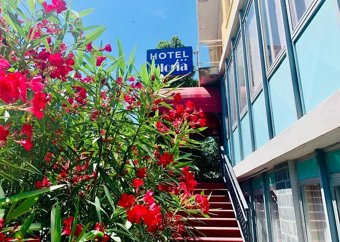 Hotel vicino al College: Hotel Gloria