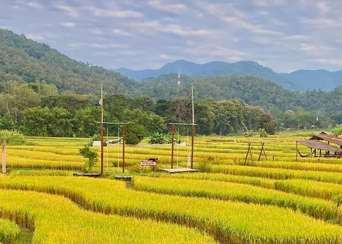 Dog friendly hotels Bulunburi