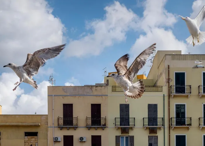 Hotel vicino al College: La Caparrita