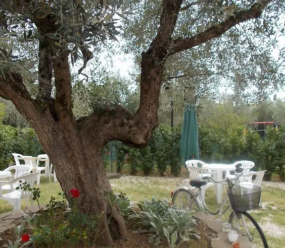 Hotel di lusso: Casa Degli Ulivi