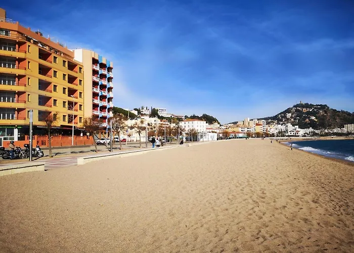 Hotel que admite mascotas: Apartamentos Elvira