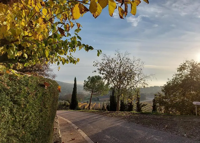 Monestir De Les Avellanes