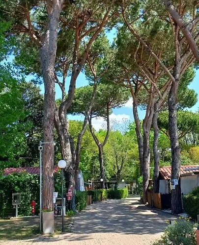 Hotel adatto agli animali: Camping Linus