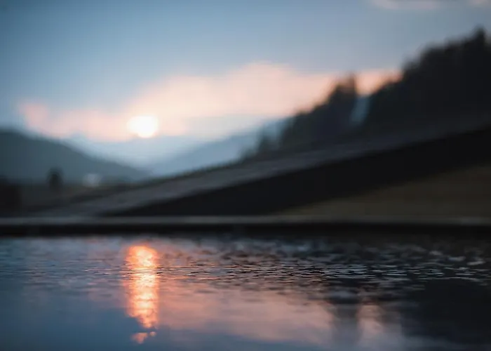 Hotel adatto agli animali: Hotel Andermax