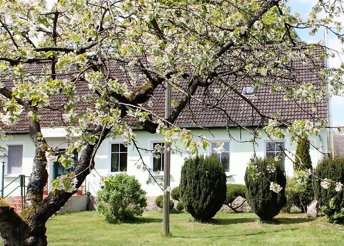 Gestüt Lindenhof