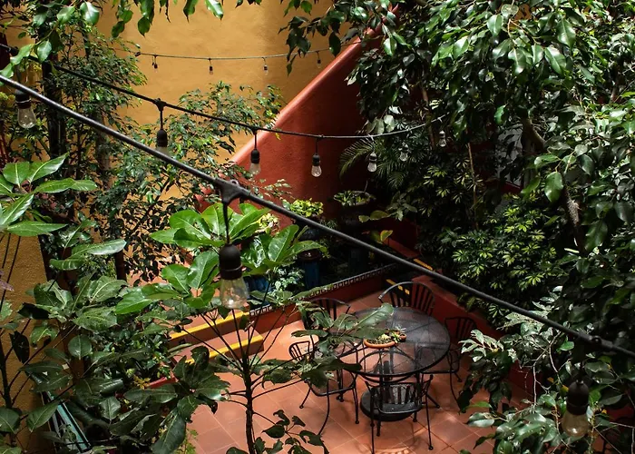 Hotel with view: The Red Tree House