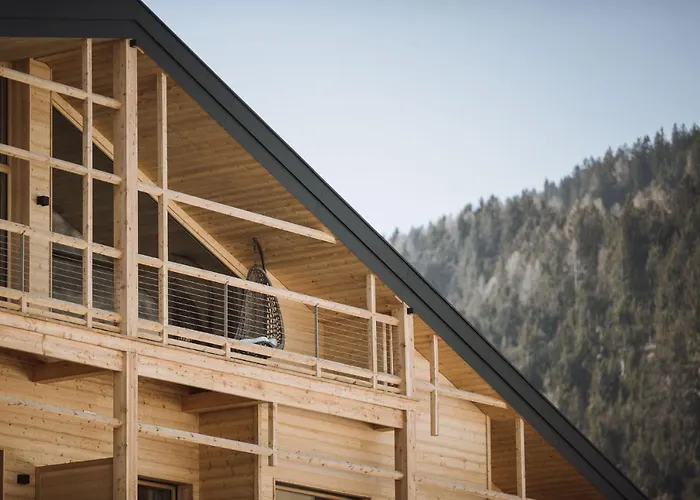 Hotel adatto agli animali: Hotel Andermax