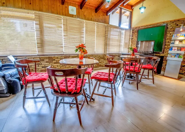 Family Hotel: Cactus
