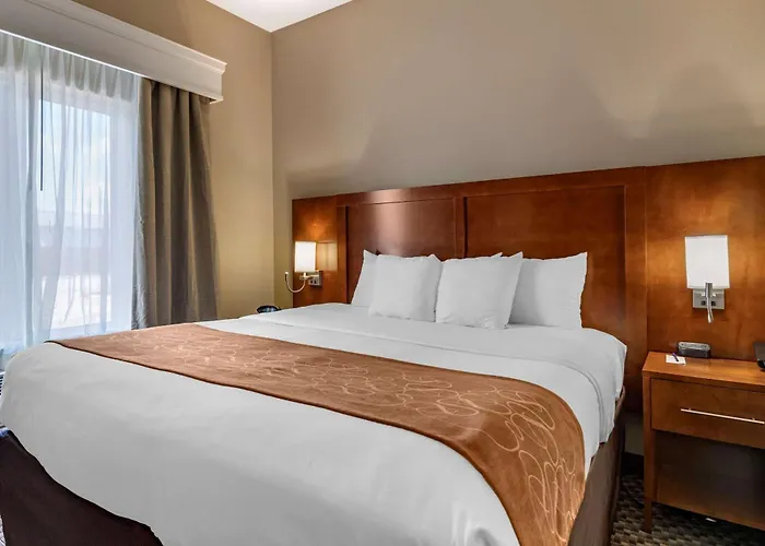 Hotel suites Comfort Suites Near Texas A&M - Corpus Christi