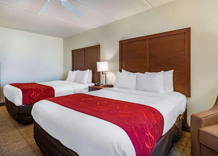 Dog friendly hotels Comfort Kissimmee-Lake Buena Vista South