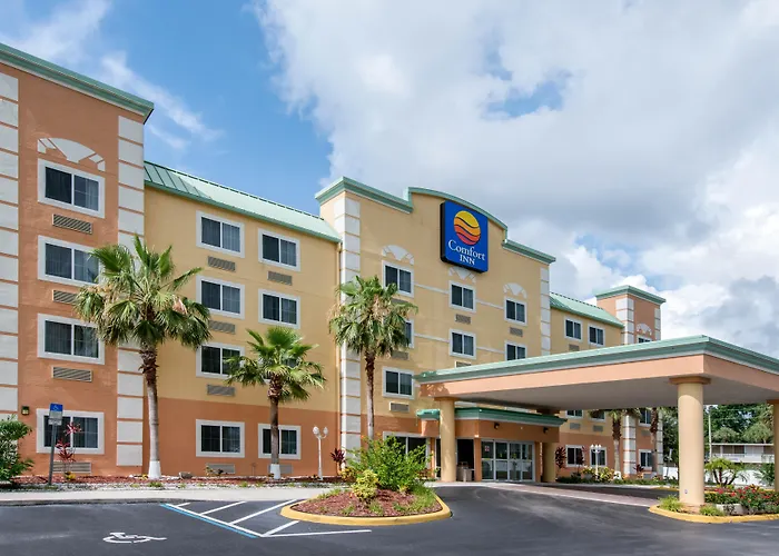Dog friendly hotels Comfort Kissimmee-Lake Buena Vista South