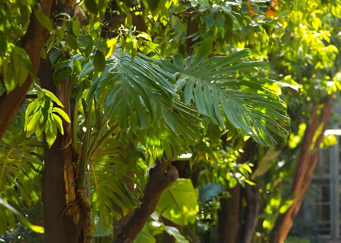 Les Jardins De La Medina