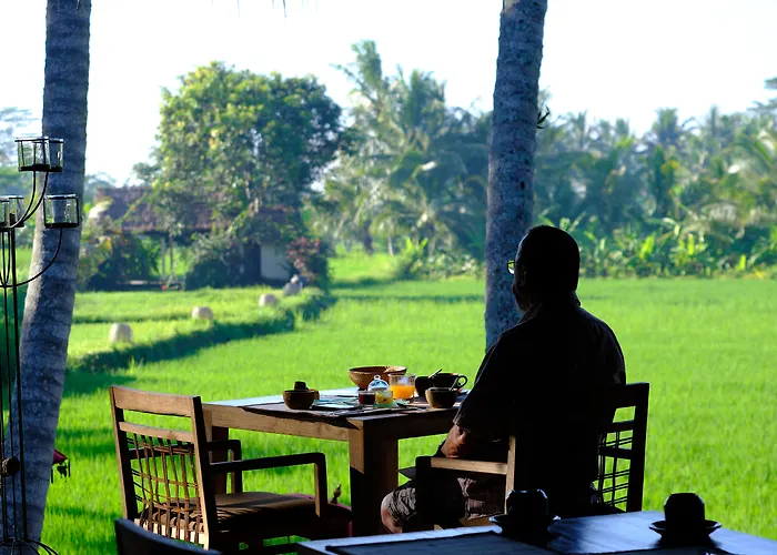 Hôtel-boutique: Mathis Retreat Ubud