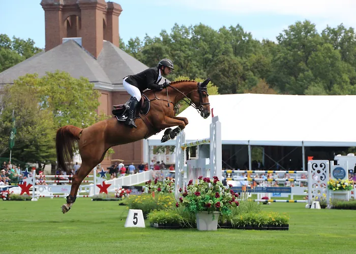 Boutique hotel only: Holiday Inn Hotel & Suites Ocala Conference Center By Ihg