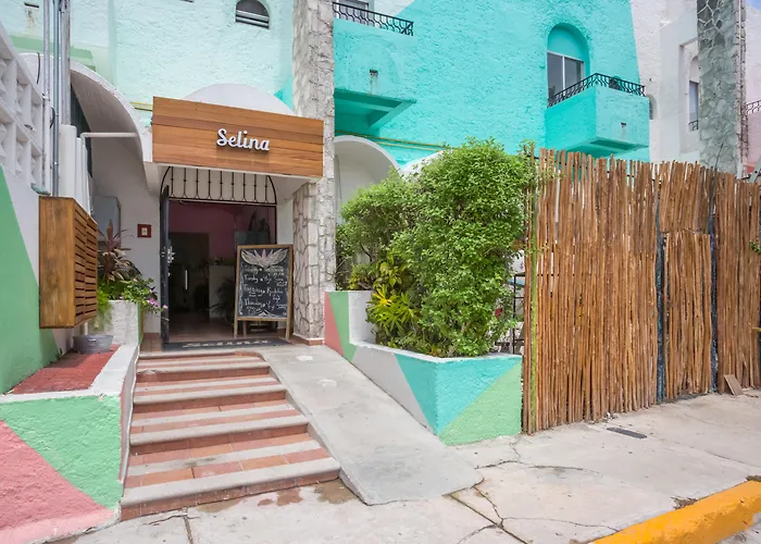 Animaux admis Nilu Cancun Downtown By Selina