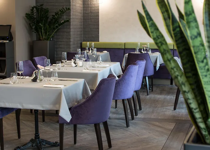 Pet Friendly hotel: Hotel Perfect