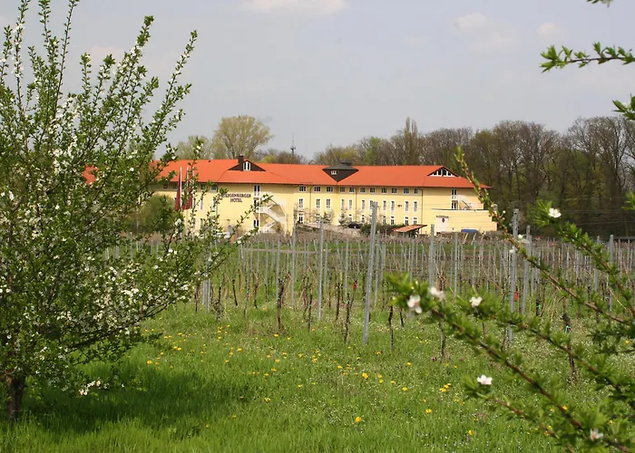 Maxx By Steigenberger Deidesheim