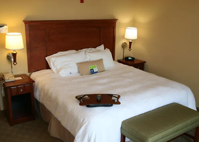 Dog friendly hotels Hampton Inn & Suites Paducah