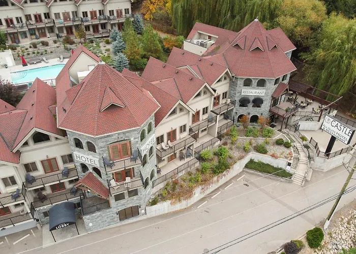 Castle At Swan Lake