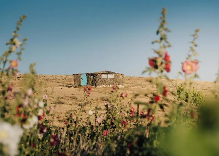 Succah In The Desert