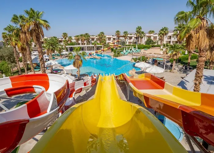 Hotel 4 stelle: Amphoras Aqua Adults Friendly