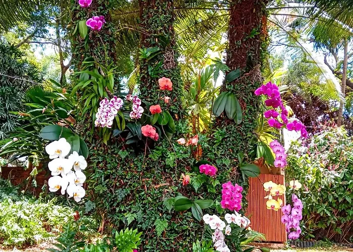 Pousada Casa da Geleia