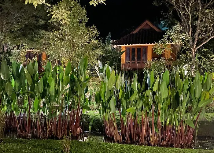 Pura Vida Pai Resort
