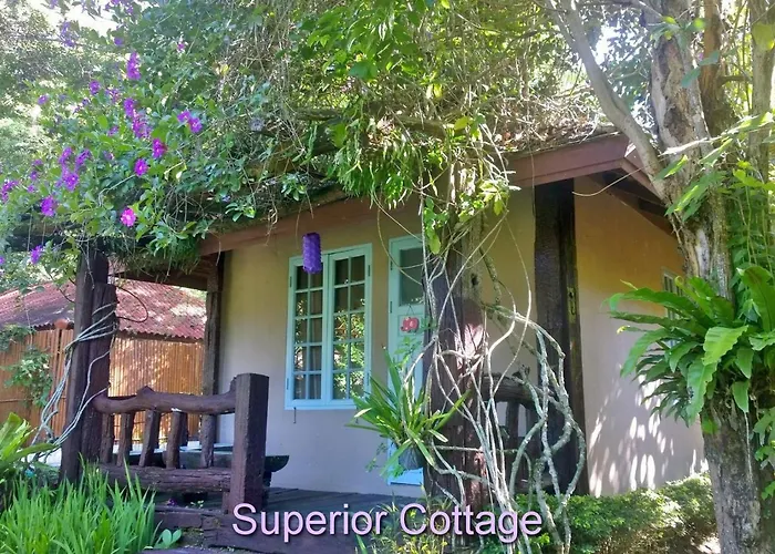 Dog friendly hotels Bulunburi